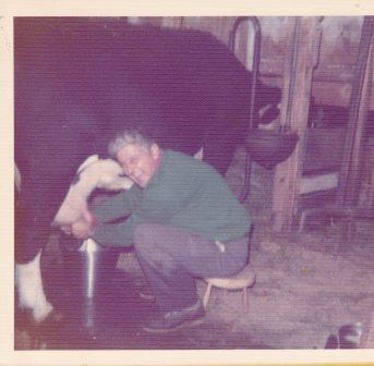 Milking the Cows - Fall 1975