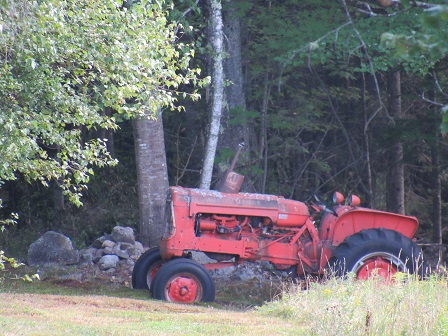 Dad's Tractor - back pasture Aug 2020