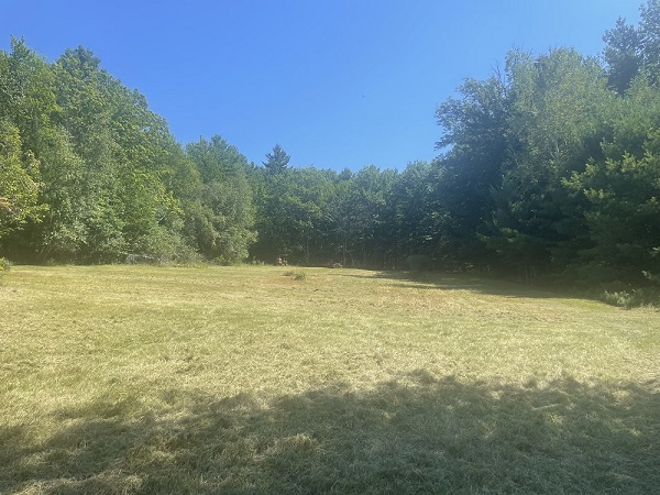 Back Pasture August 2026