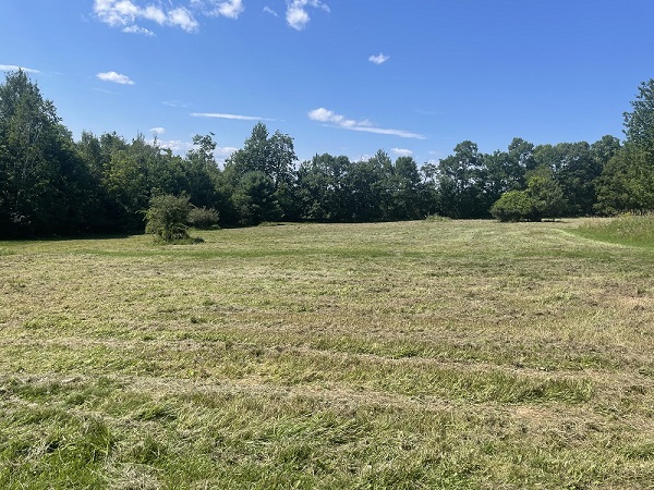 Lower Hayfield 2026