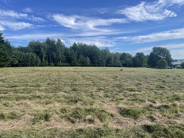 Bottom Pasture August 2026