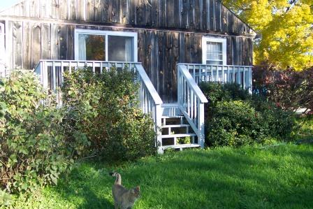 Farmhouse Back Porch