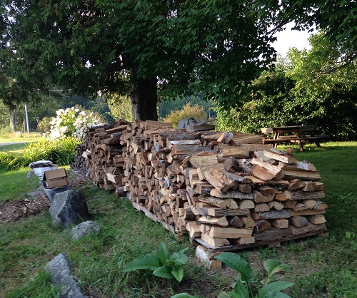 Firewood Stacked for Winter 2015