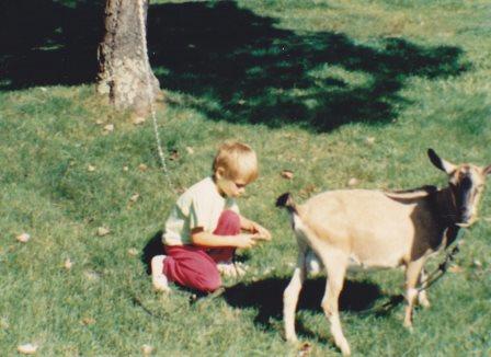 Goat on High Meadows Farm