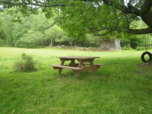 Picnic Table