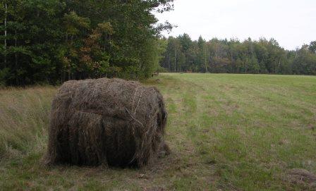Big Hay Bale